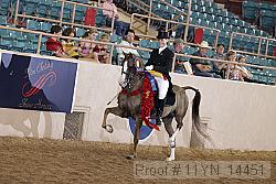 11yn_14451 thumbnail