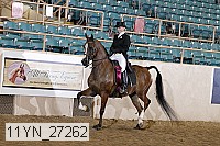 11yn_27262 thumbnail