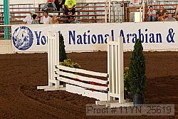 11yn_25619 thumbnail
