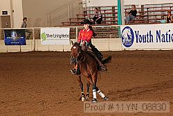 11yn_08830 thumbnail