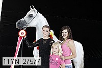 11yn_27577 thumbnail