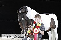 11yn_27582 thumbnail