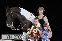 11yn_27602 thumbnail