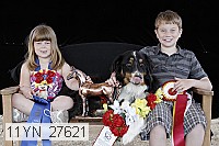 11yn_27621 thumbnail
