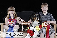 11yn_27622 thumbnail
