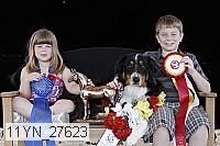 11yn_27623 thumbnail