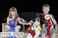 11yn_27625 thumbnail