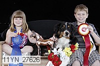 11yn_27626 thumbnail