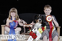 11yn_27628 thumbnail