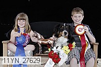 11yn_27629 thumbnail