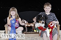 11yn_27630 thumbnail