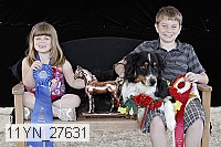 11yn_27631 thumbnail