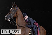 11yn_28331 thumbnail