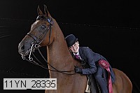 11yn_28335 thumbnail