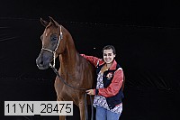 11yn_28475 thumbnail