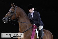 11yn_28531 thumbnail