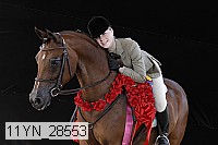 11yn_28553 thumbnail