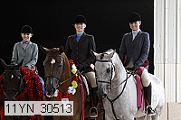 11yn_30513 thumbnail