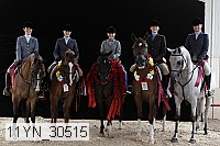 11yn_30515 thumbnail