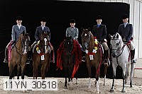 11yn_30518 thumbnail