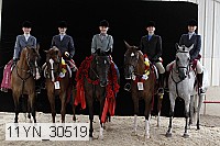 11yn_30519 thumbnail