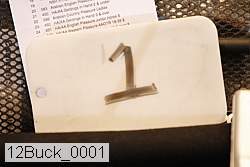 12buck_0001 thumbnail