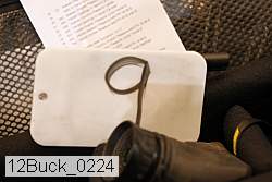 12buck_0224 thumbnail