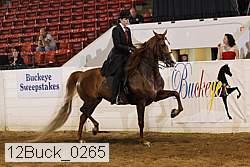 12buck_0265 thumbnail