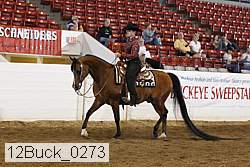 12buck_0273 thumbnail