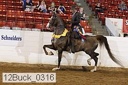 12buck_0316 thumbnail