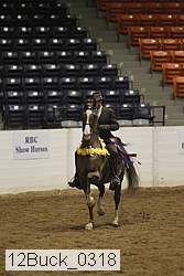 12buck_0318 thumbnail