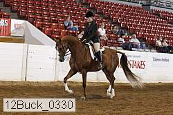 12buck_0330 thumbnail