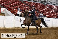 12buck_0342 thumbnail