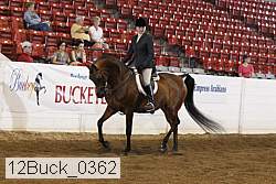 12buck_0362 thumbnail