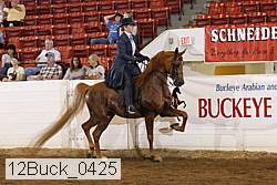 12buck_0425 thumbnail