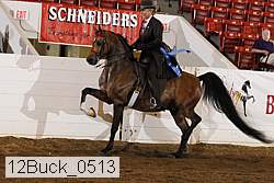 12buck_0513 thumbnail