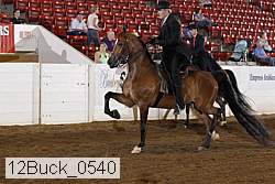 12buck_0540 thumbnail