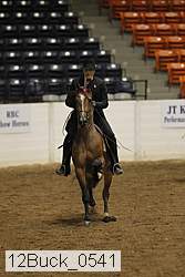 12buck_0541 thumbnail