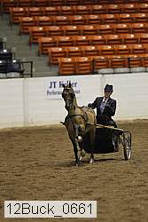12buck_0661 thumbnail