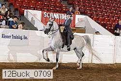 12buck_0709 thumbnail