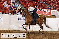 12buck_0710 thumbnail