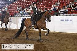 12buck_0722 thumbnail