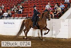 12buck_0724 thumbnail