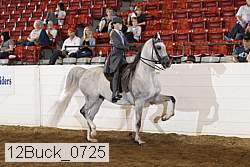 12buck_0725 thumbnail
