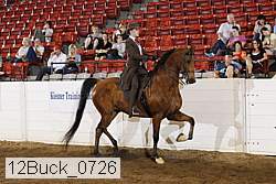 12buck_0726 thumbnail