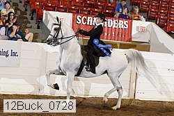 12buck_0728 thumbnail