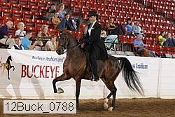 12buck_0788 thumbnail