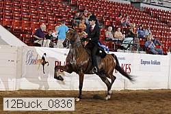 12buck_0836 thumbnail