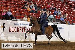 12buck_0873 thumbnail