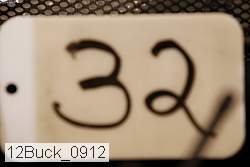 12buck_0912 thumbnail